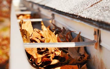 Round Maple gutter cleaning companies