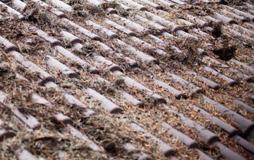 Round Maple roof cleaning companies