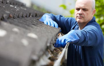 cleaning and inspecting Round Maple roofs